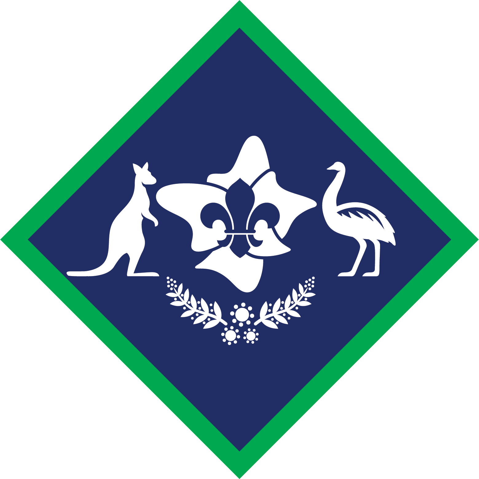 Australian Scout Award