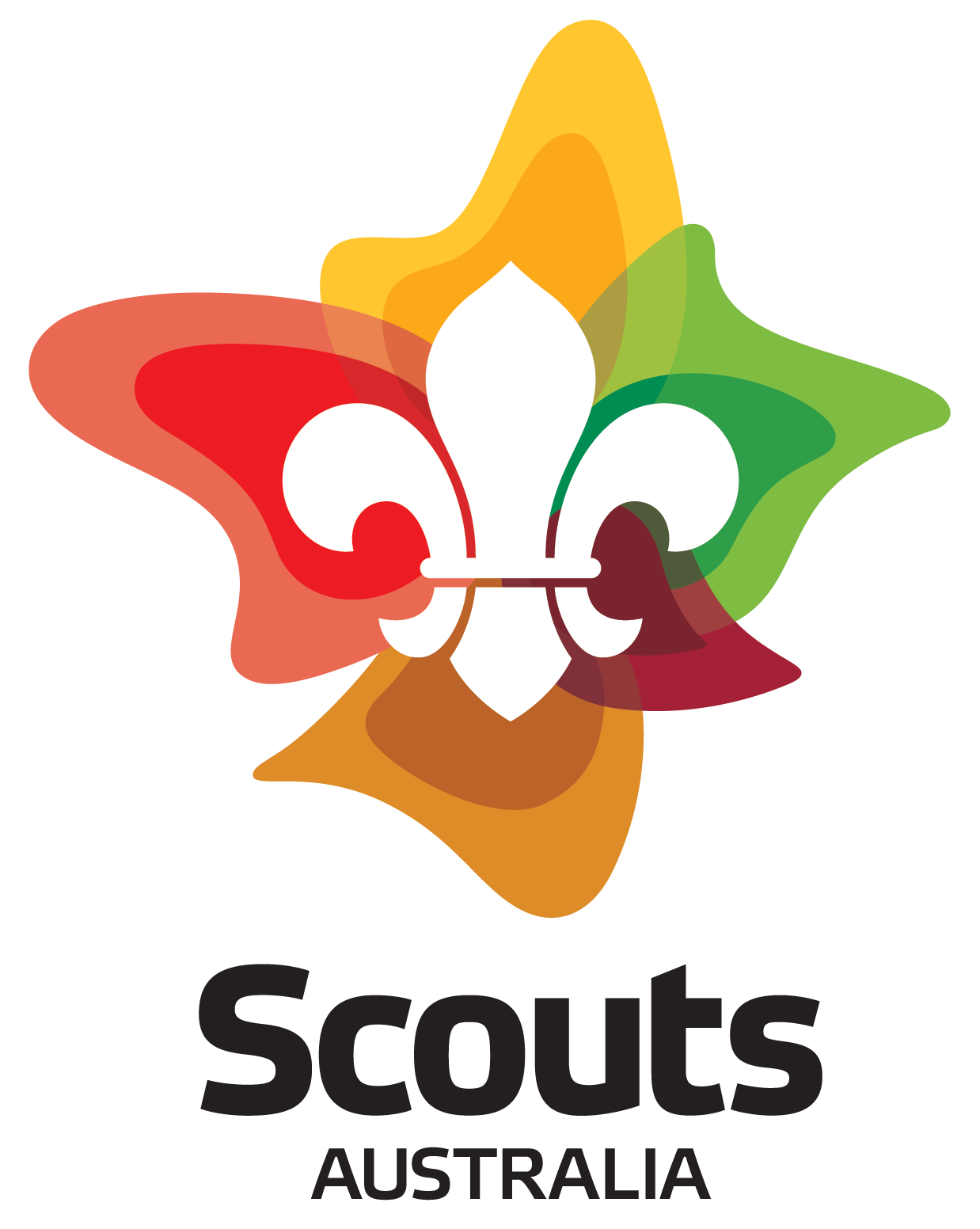 Scouts Logo